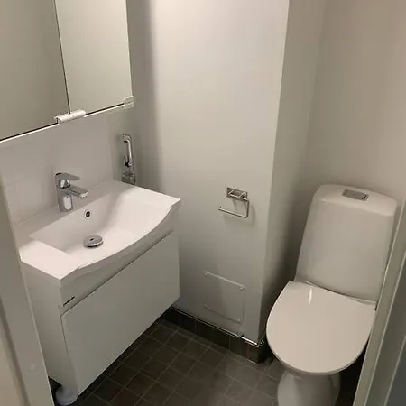 Apartment Spacious Fully Renovated Flat Espoo