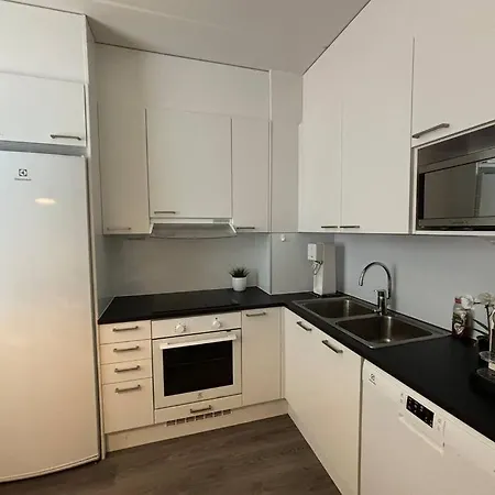 Spacious Fully Renovated Flat Espoo